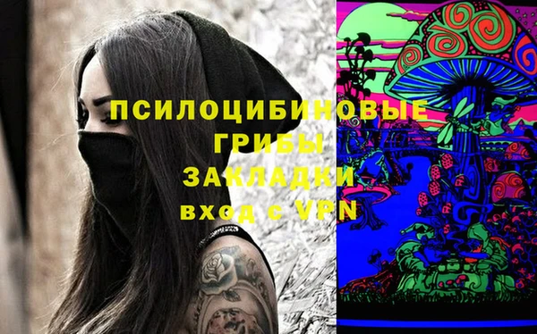 синтетический гашиш Няндома