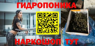 ПСИЛОЦИБИНОВЫЕ ГРИБЫ Аргун