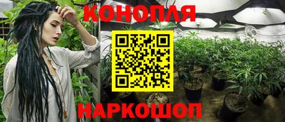 ПСИЛОЦИБИНОВЫЕ ГРИБЫ Аргун