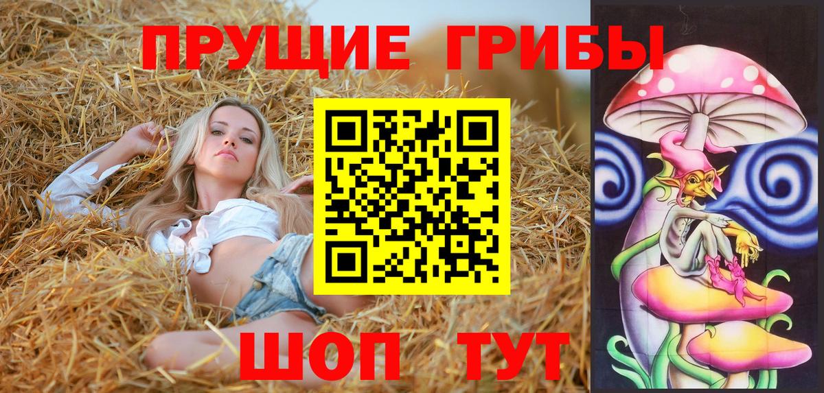 Псилоцибиновые грибы мухоморы  Вход с VPN  Балахна  Галлюциногенные грибы Psilocybe 