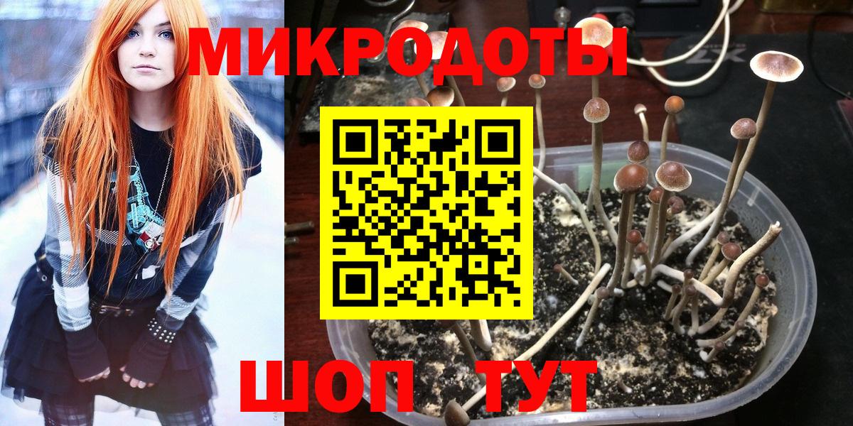 Меф  Плюхи  Кокаин  Балахна  Alpha-PVP  ГАШИШ  МЕФ  Бошки Шишки  Вход с VPN 