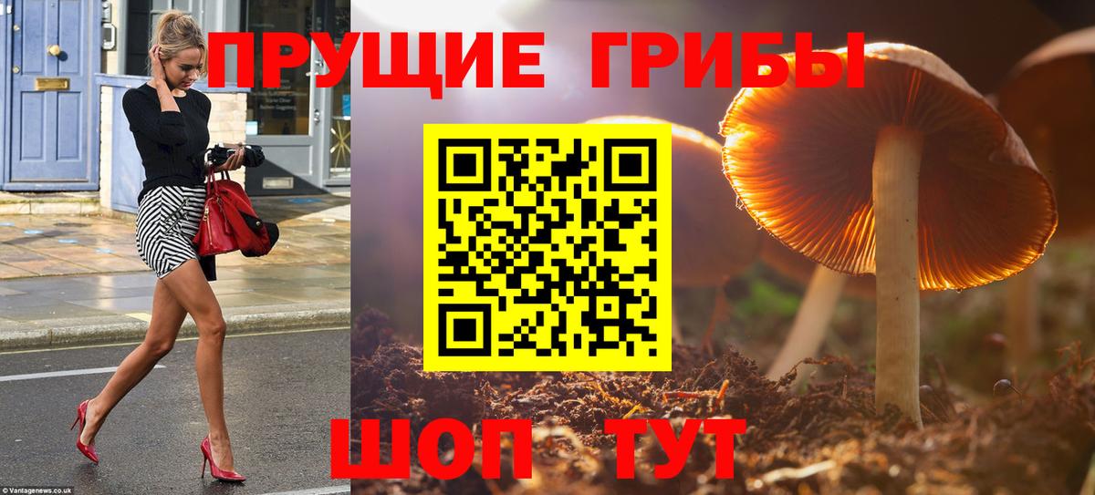 Гашиш Балахна