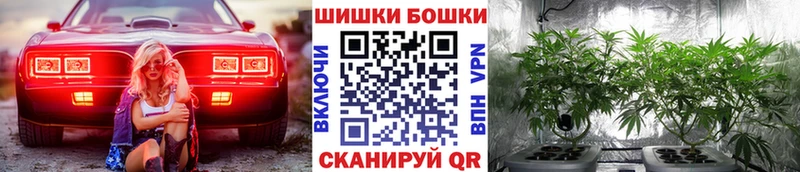 купить наркотики цена  Балахна  Конопля OG Kush 